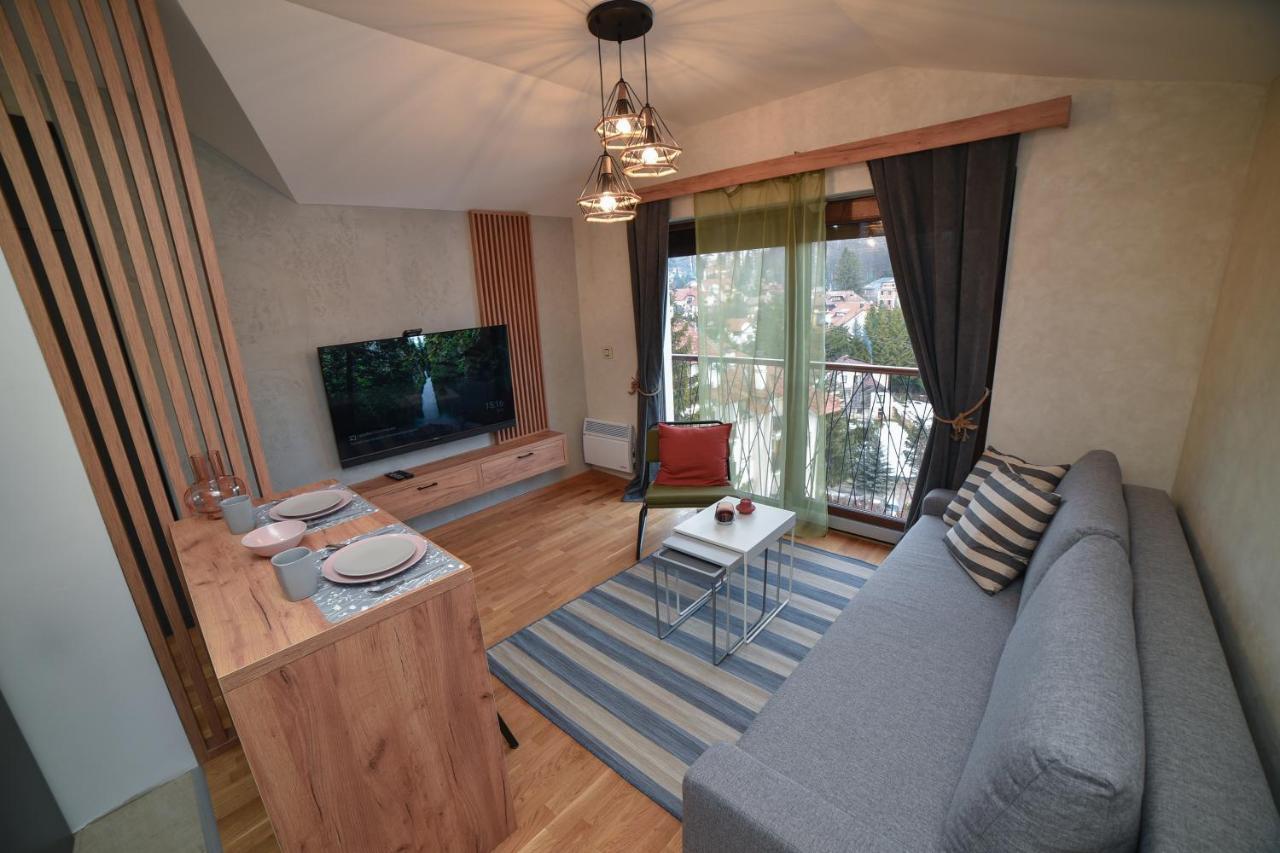 Aria Club Wellness&Spa Zlatibor Eksteriør billede